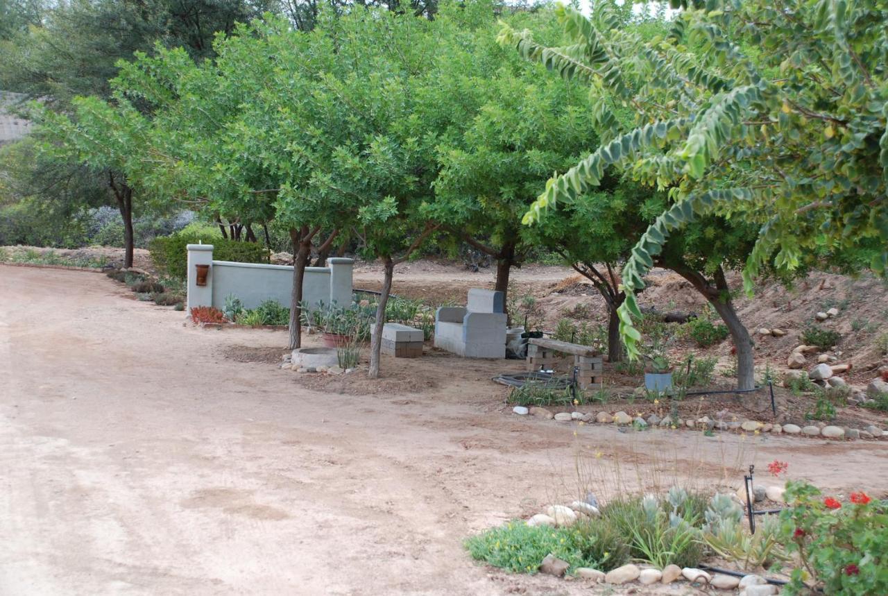 Gasteria Grange Pensionat Calitzdorp Exteriör bild