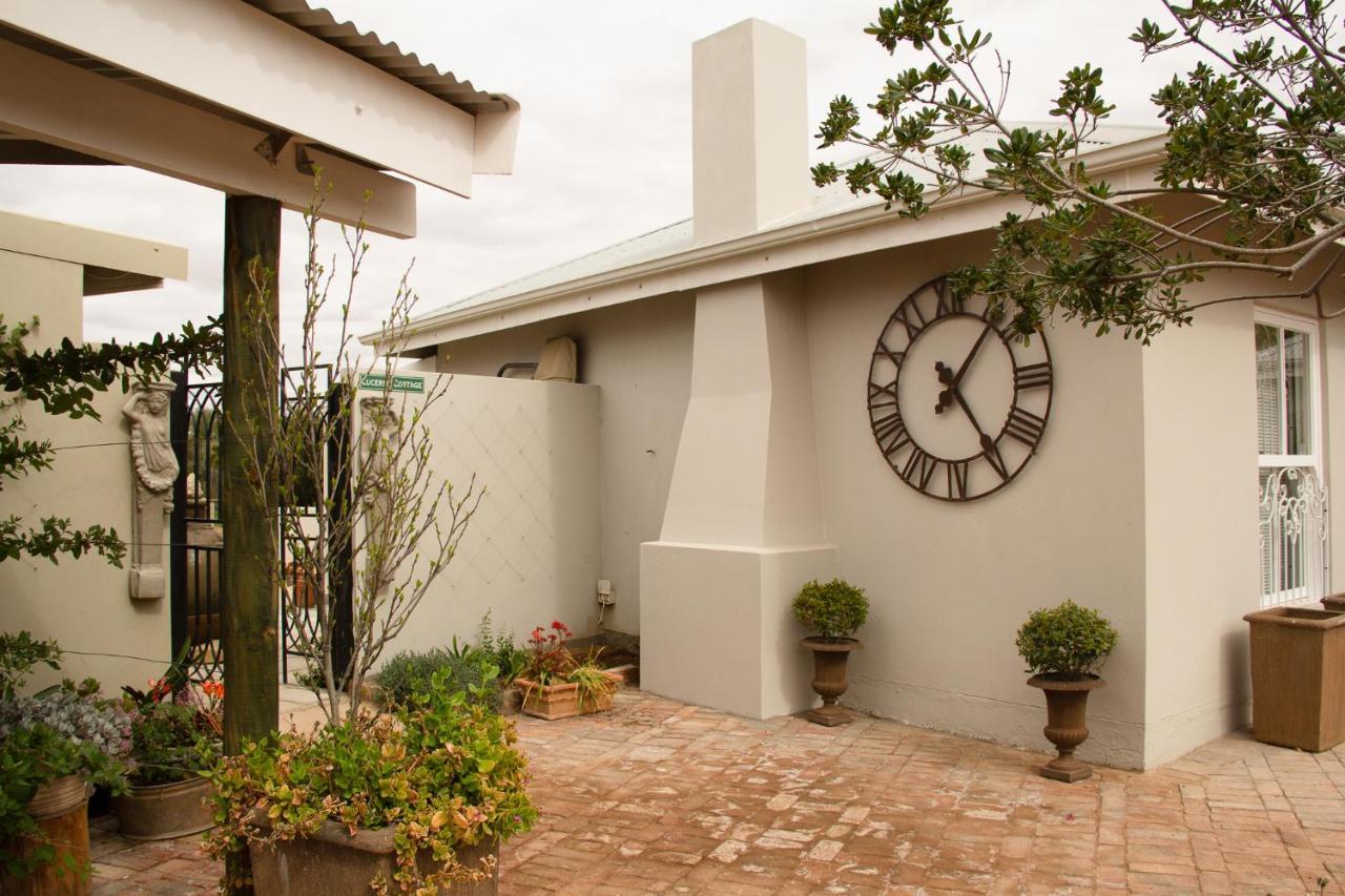 Gasteria Grange Pensionat Calitzdorp Exteriör bild